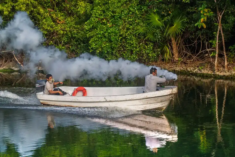 Two men on a boat conducting pest control using fogging in Quintana Roo's mangroves.